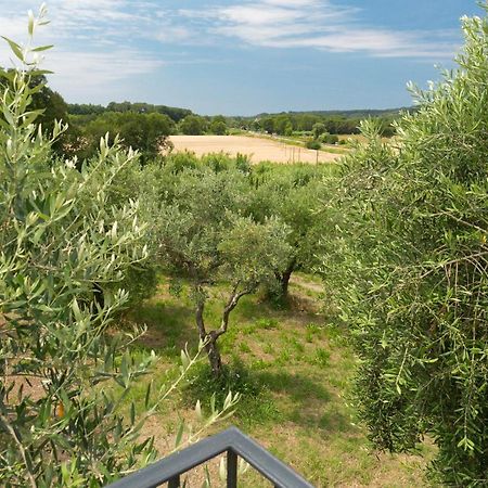 Cottage Zizzolo Riparbella Bagian luar foto