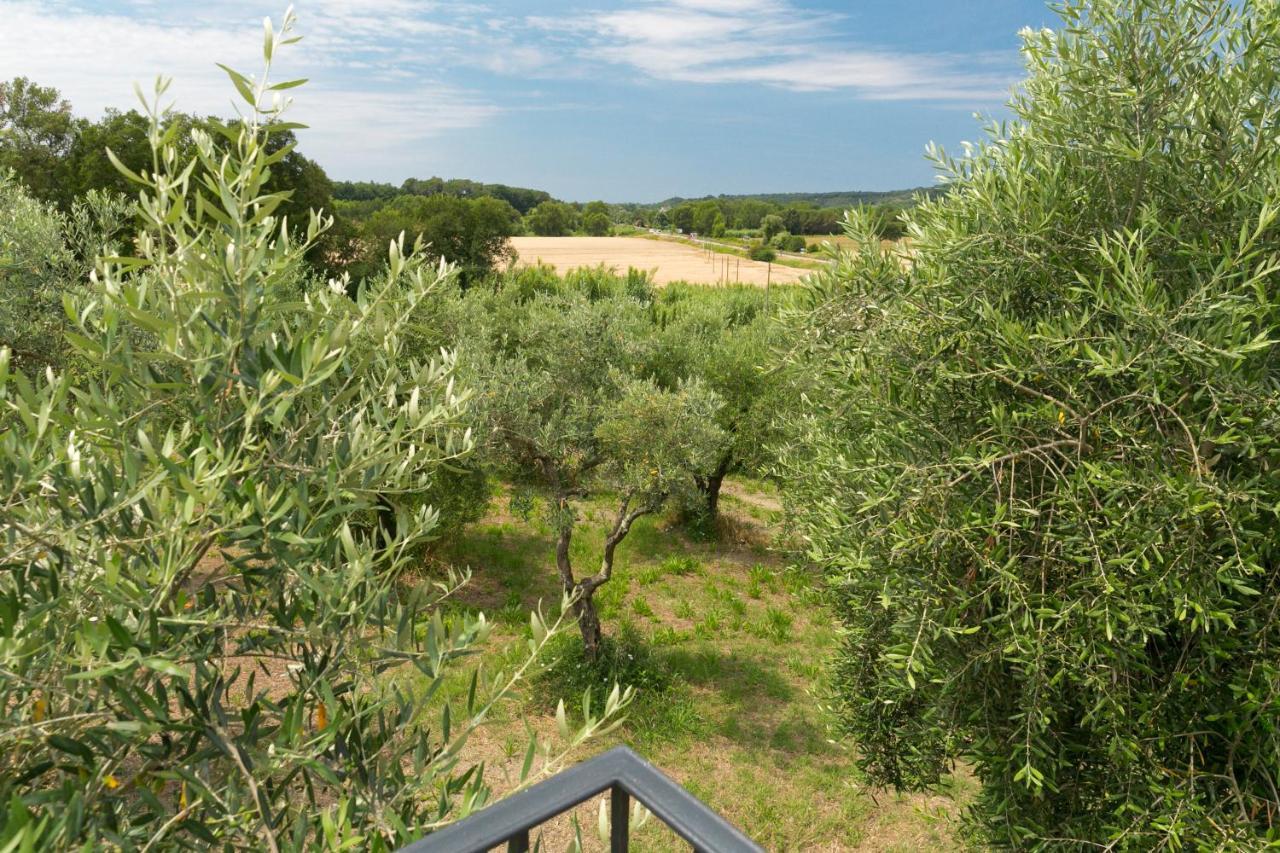 Cottage Zizzolo Riparbella Bagian luar foto